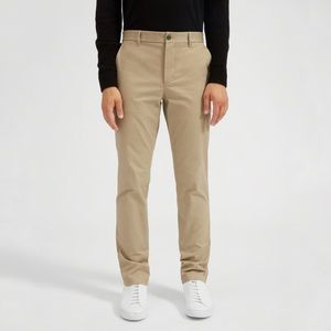 Everlane Straight Chino 31x30